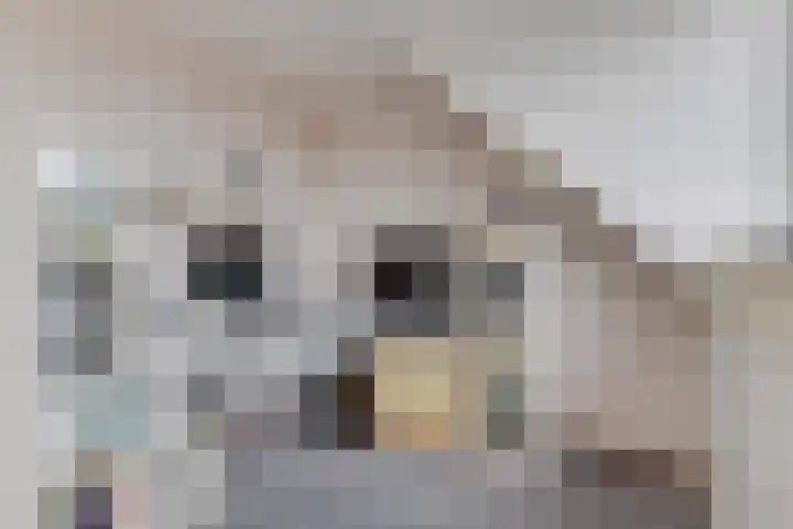 Smetanahof 25 Hoorn thumbnail 51