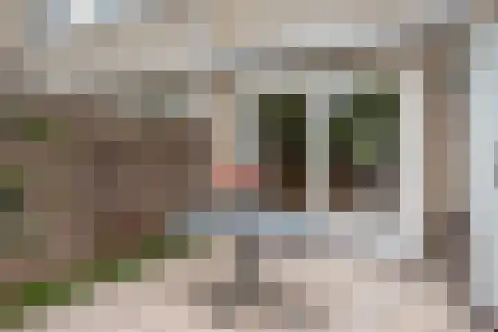 Smetanahof 25 Hoorn thumbnail 60