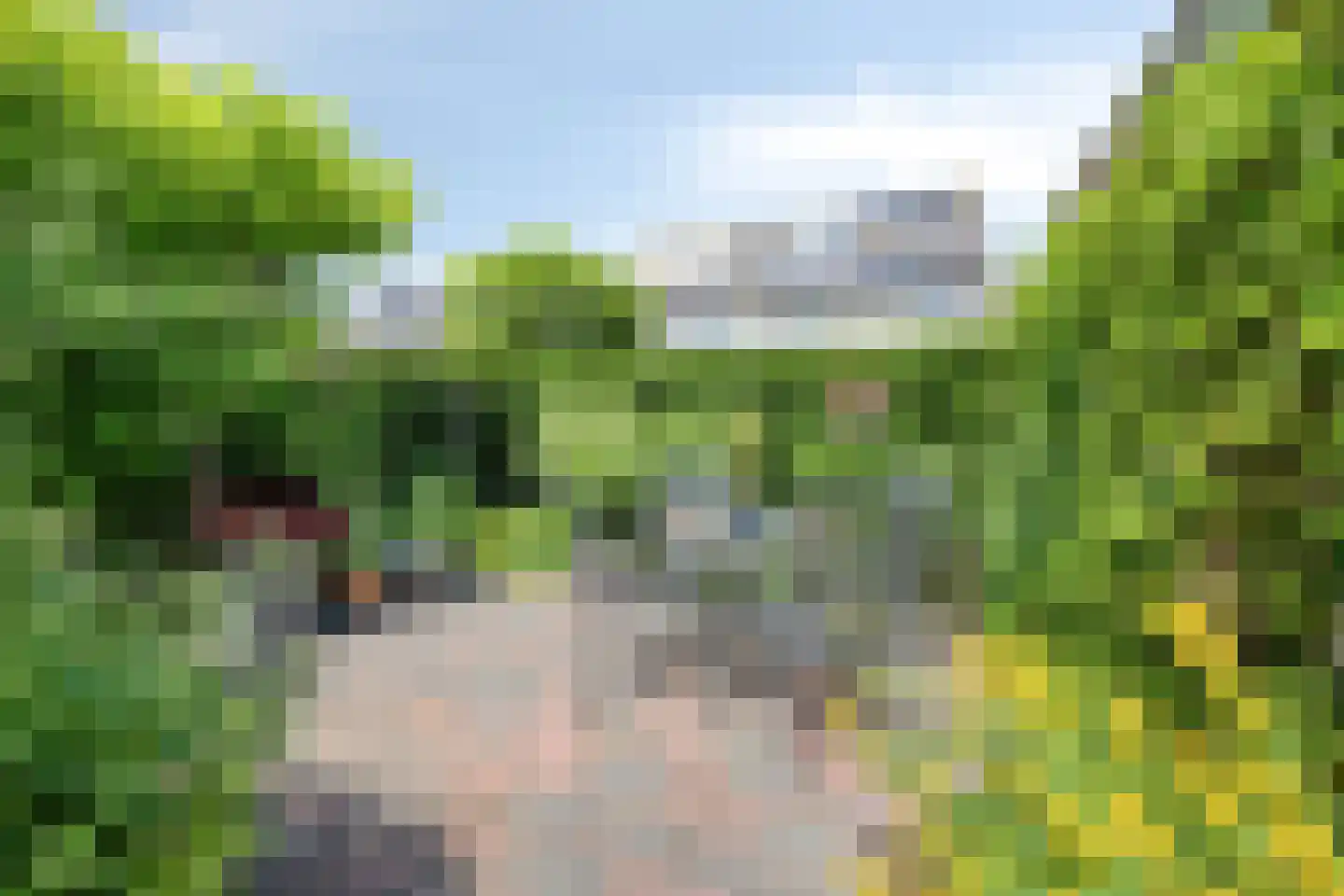 Smetanahof 62 Hoorn thumbnail 31