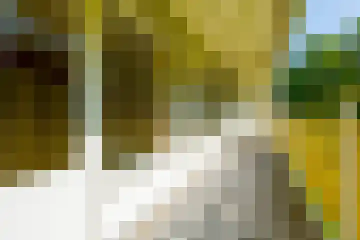Smetanalaan 188 Assen thumbnail 22