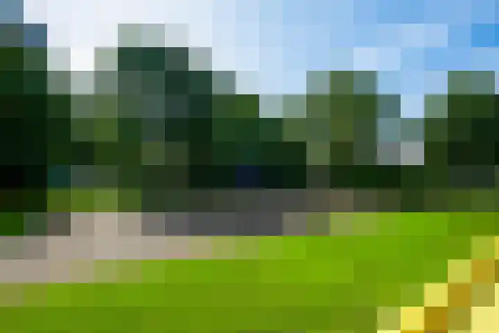 Smetanalaan 188 Assen thumbnail 24