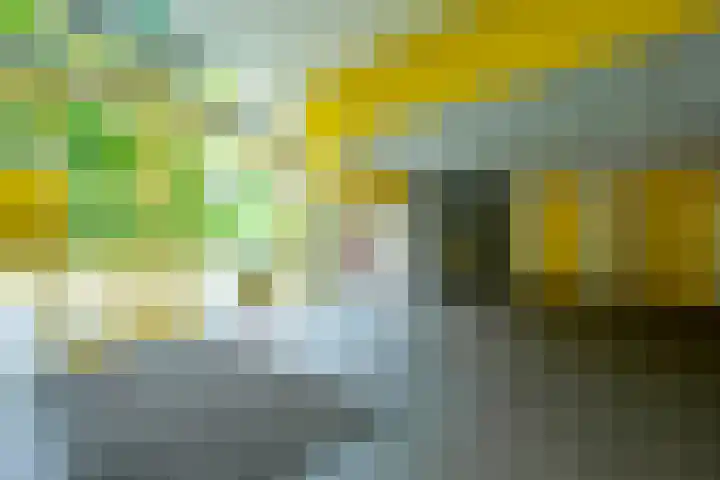 Smetanalaan 188 Assen thumbnail 28