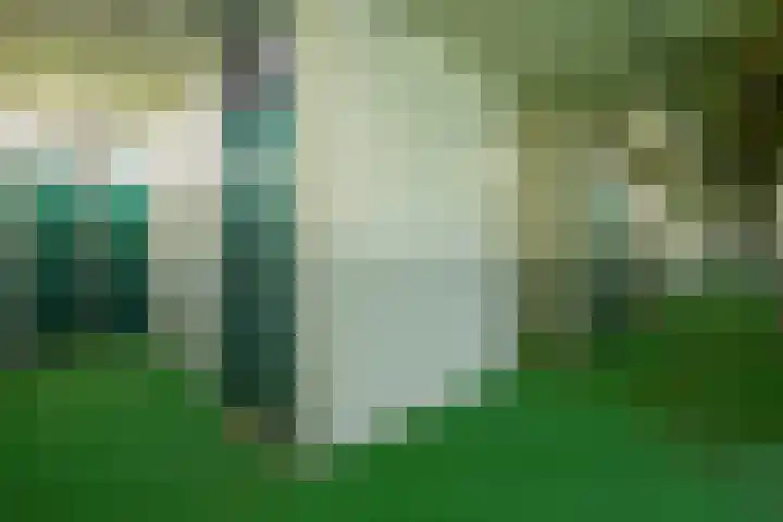 Smetanalaan 188 Assen thumbnail 29