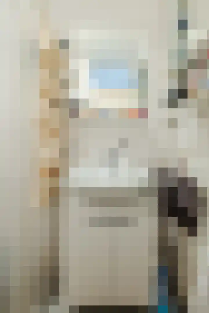 Smetanalaan 194 Assen thumbnail 21