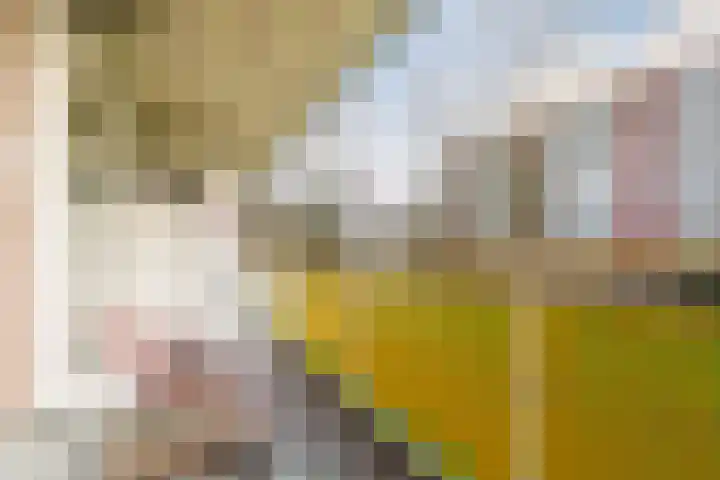 Smetanalaan 194 Assen thumbnail 23