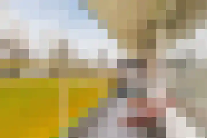 Smetanalaan 194 Assen thumbnail 24