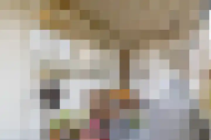 Smetanalaan 194 Assen thumbnail 4