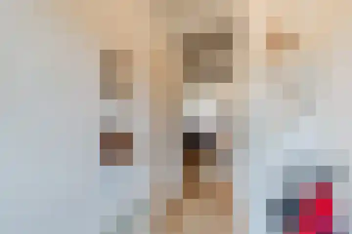 Smetanalaan 194 Assen thumbnail 5