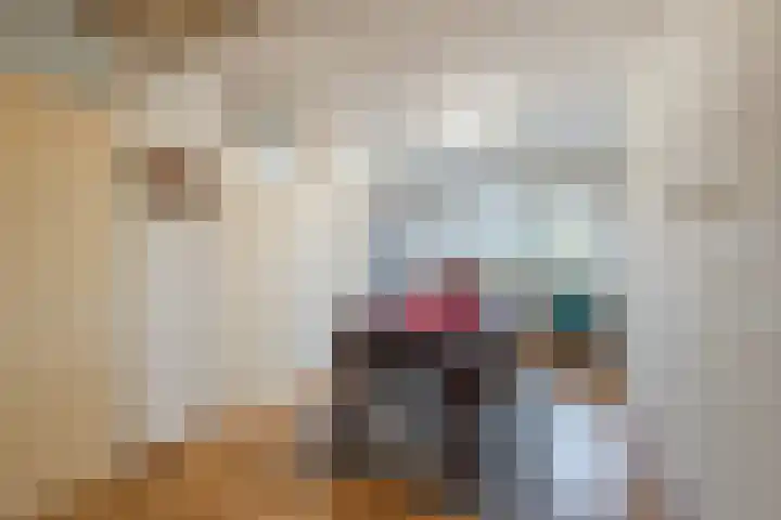 Smetanalaan 194 Assen thumbnail 8