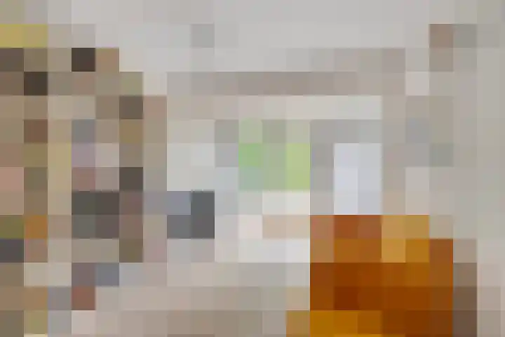 Smetanalaan 2 Schiedam thumbnail 10