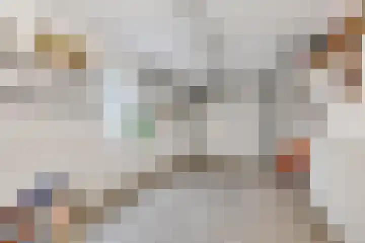 Smetanalaan 2 Schiedam thumbnail 13