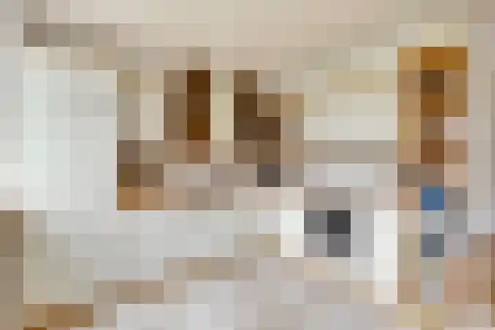 Smetanalaan 2 Schiedam thumbnail 17