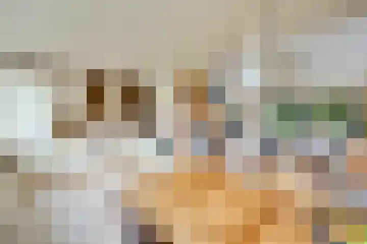 Smetanalaan 2 Schiedam thumbnail 18