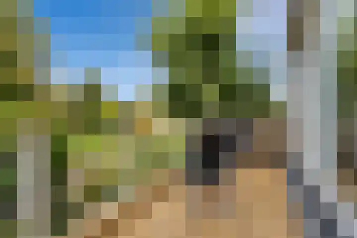 Smetanalaan 2 Schiedam thumbnail 19