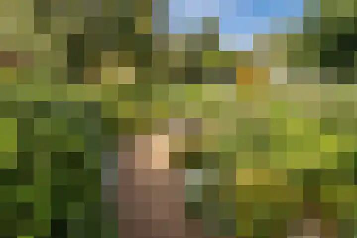 Smetanalaan 2 Schiedam thumbnail 20