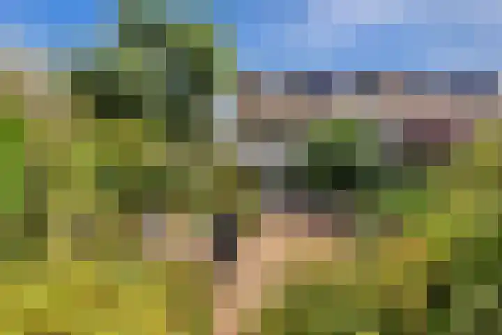 Smetanalaan 2 Schiedam thumbnail 21