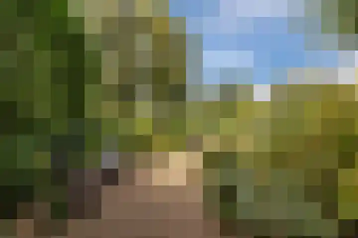 Smetanalaan 2 Schiedam thumbnail 22