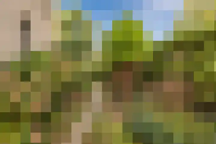 Smetanalaan 2 Schiedam thumbnail 23