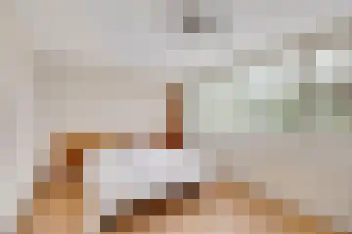 Smetanalaan 2 Schiedam thumbnail 27