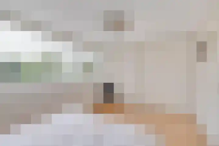 Smetanalaan 2 Schiedam thumbnail 28