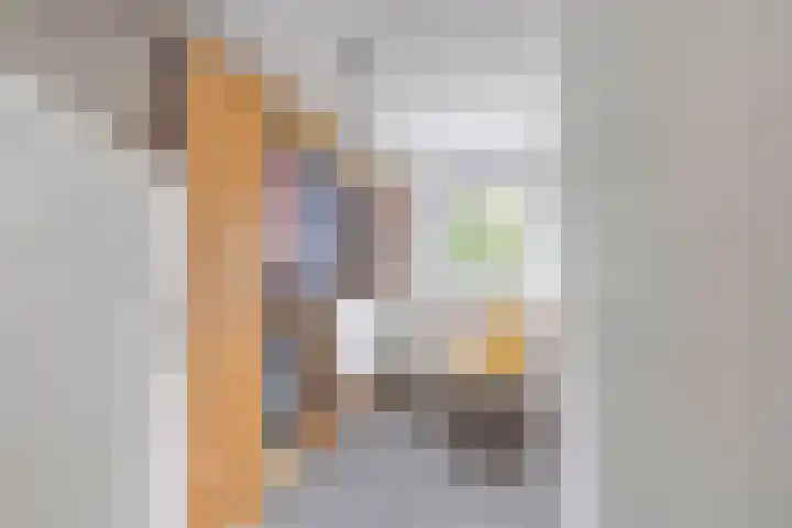 Smetanalaan 2 Schiedam thumbnail 30