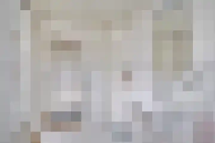 Smetanalaan 2 Schiedam thumbnail 31