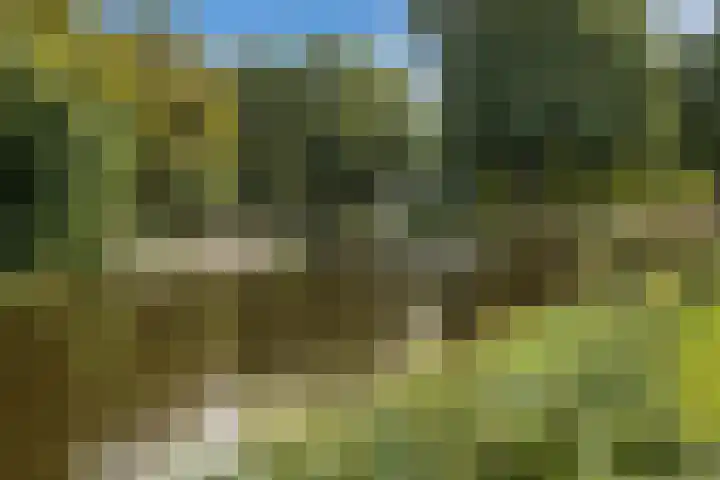 Smetanalaan 2 Schiedam thumbnail 37