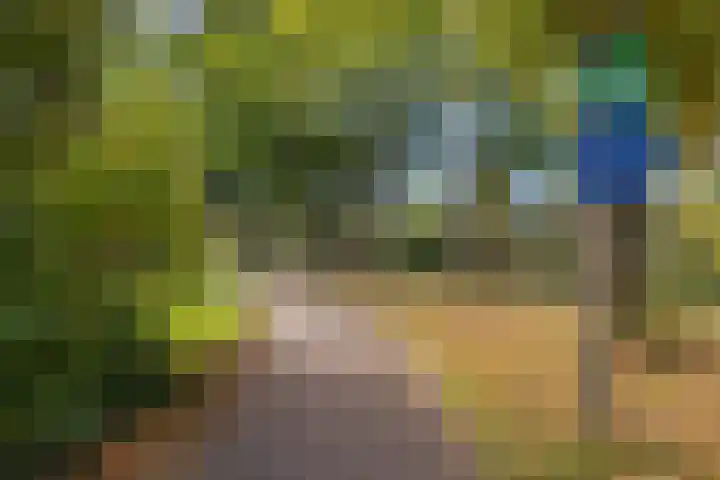 Smetanalaan 2 Schiedam thumbnail 39