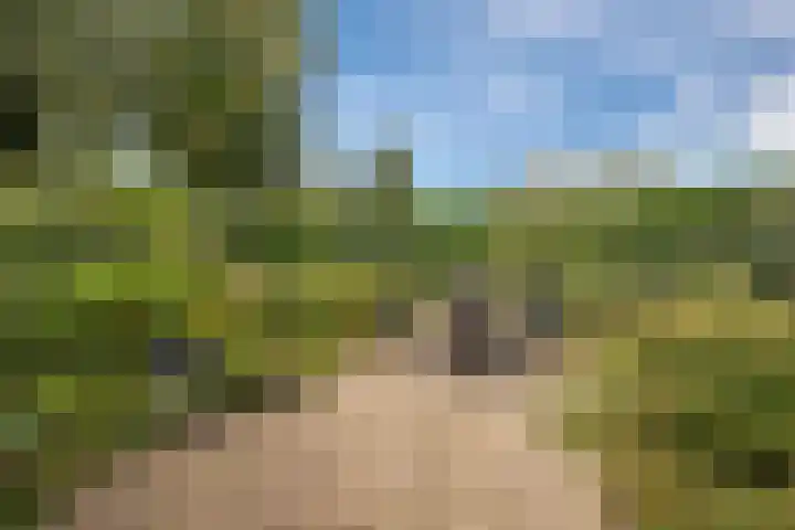Smetanalaan 2 Schiedam thumbnail 4