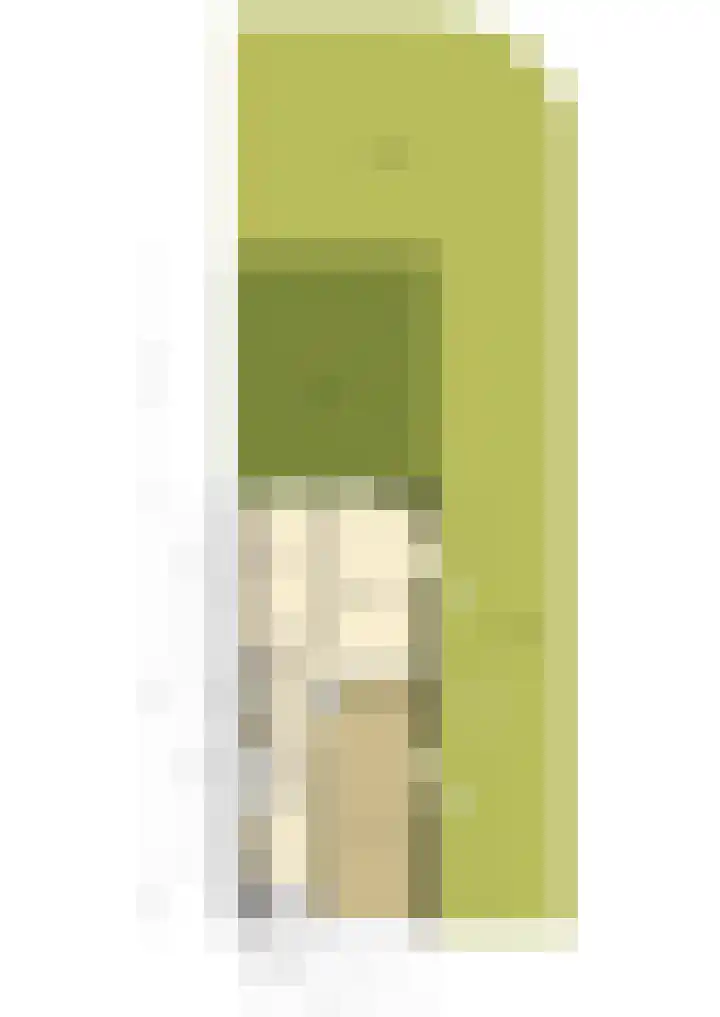 Smetanalaan 2 Schiedam thumbnail 40
