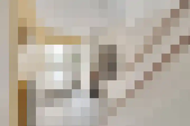 Smetanalaan 2 Schiedam thumbnail 7
