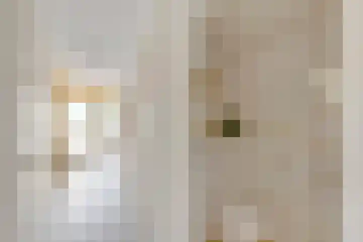 Smetanalaan 2 Schiedam thumbnail 8