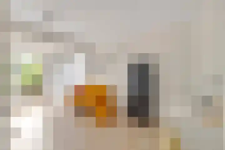 Smetanalaan 2 Schiedam thumbnail 9