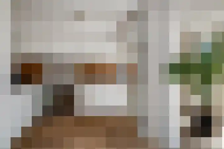 Smetanalaan 20 Rotterdam thumbnail 10