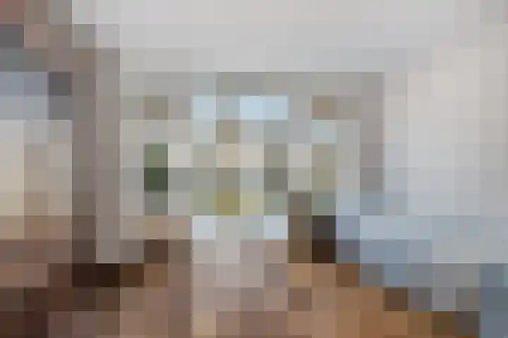 Smetanalaan 20 Rotterdam thumbnail 14