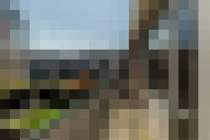 Smetanalaan 20 Rotterdam thumbnail 17