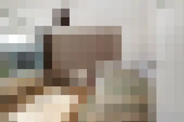 Smetanalaan 20 Rotterdam thumbnail 18