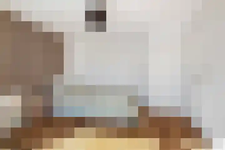 Smetanalaan 20 Rotterdam thumbnail 19