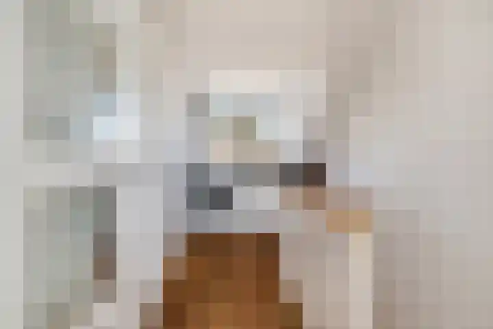Smetanalaan 20 Rotterdam thumbnail 24
