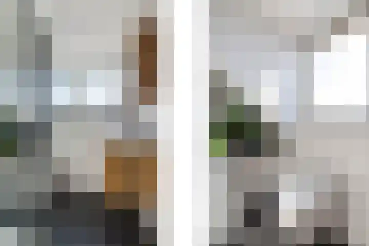 Smetanalaan 20 Rotterdam thumbnail 28