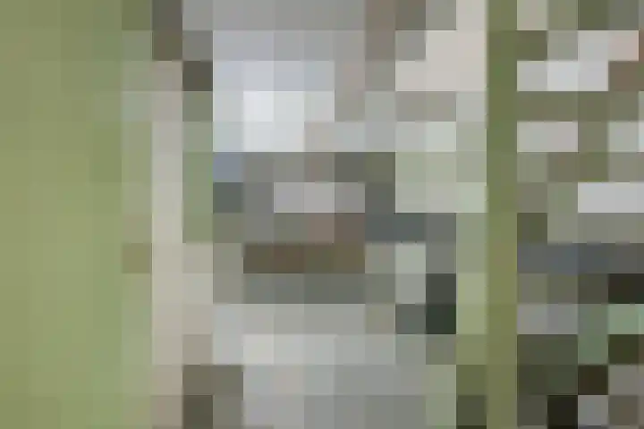 Smetanalaan 20 Rotterdam thumbnail 30