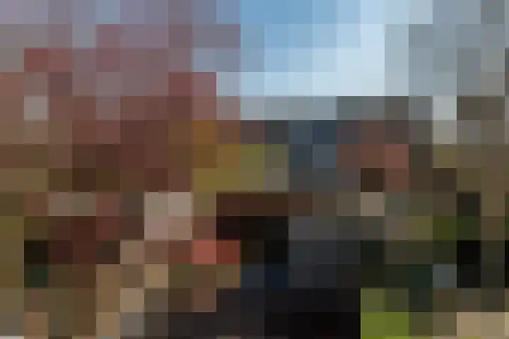 Smetanalaan 20 Rotterdam thumbnail 31