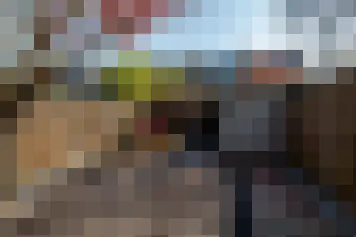 Smetanalaan 20 Rotterdam thumbnail 32