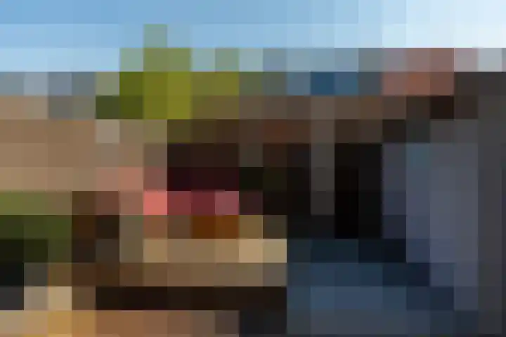 Smetanalaan 20 Rotterdam thumbnail 33