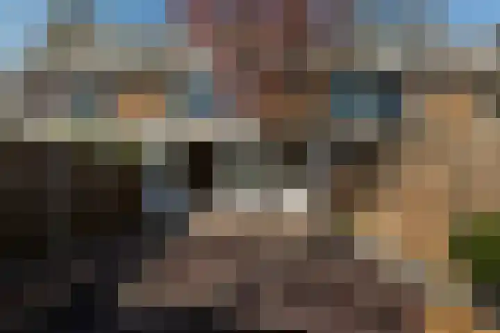 Smetanalaan 20 Rotterdam thumbnail 35