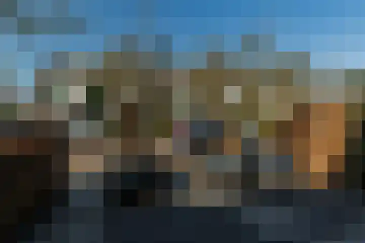 Smetanalaan 20 Rotterdam thumbnail 36