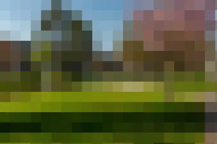 Smetanalaan 20 Rotterdam thumbnail 37