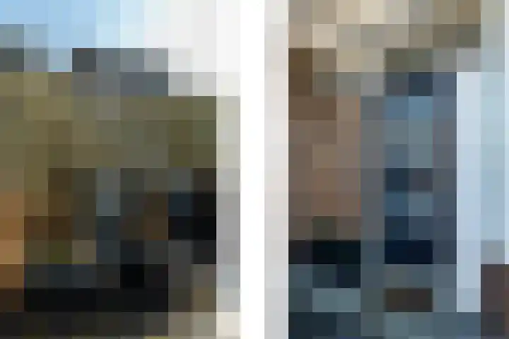 Smetanalaan 20 Rotterdam thumbnail 4