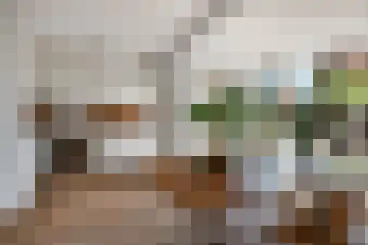 Smetanalaan 20 Rotterdam thumbnail 9