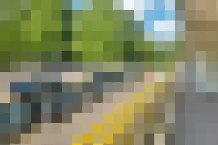 Smetanalaan 206 Assen thumbnail 12